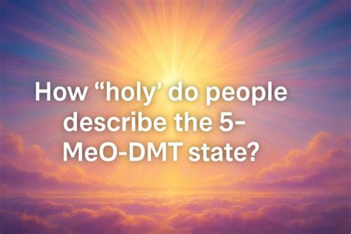 How was DMT discovered?