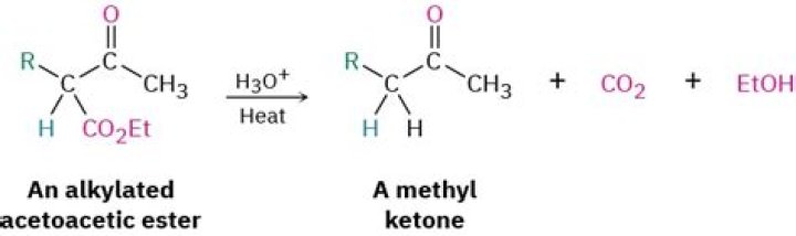 How will you prepare acetoacetic ester in the laboratory?