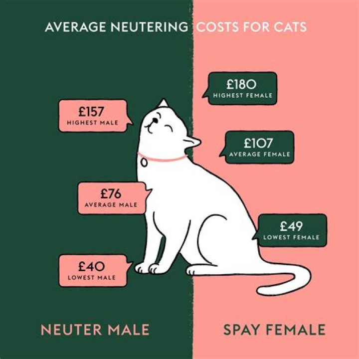 Is 4 months too early to neuter a cat