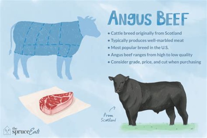 Is Aberdeen Angus beef better