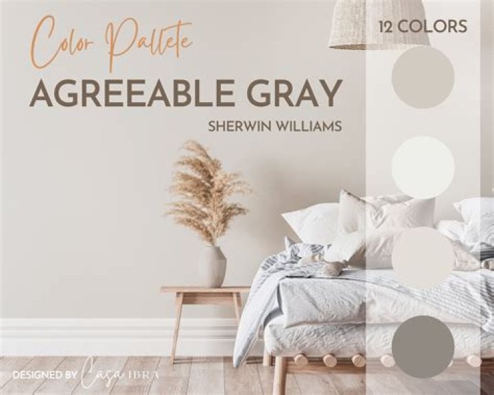 Is agreeable gray dark