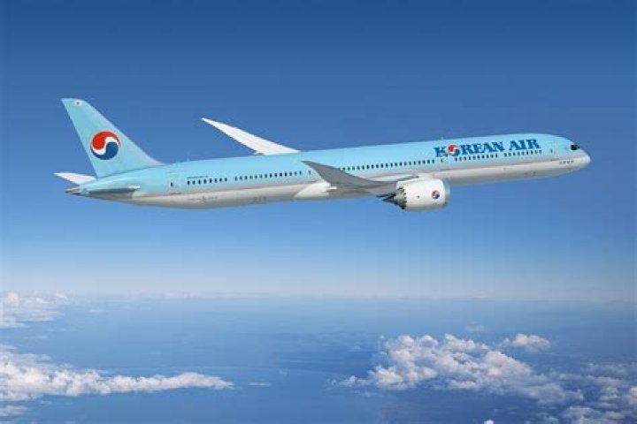 Is Asiana better than Korean Air?