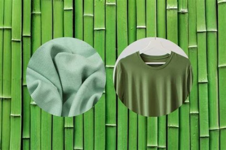 Is Bamboo clothing environmentally friendly