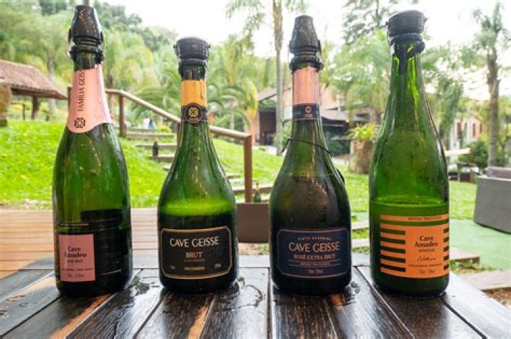 Is Brazilian wine good? | ContextResponse.com