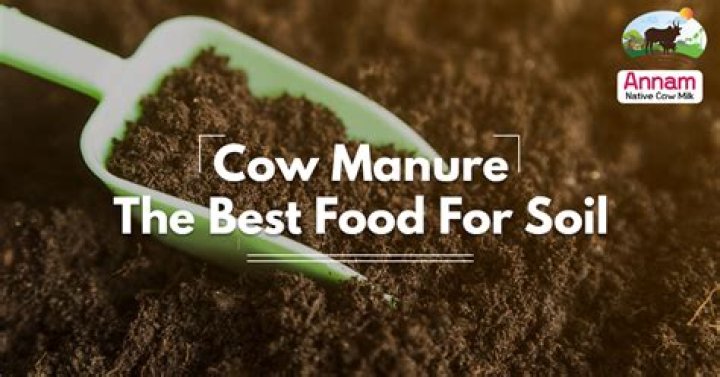 Is cow manure considered organic?