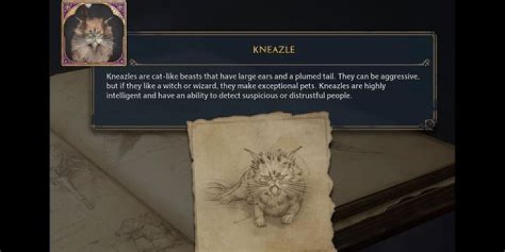 Is Crookshanks a Kneazle? | ContextResponse.com