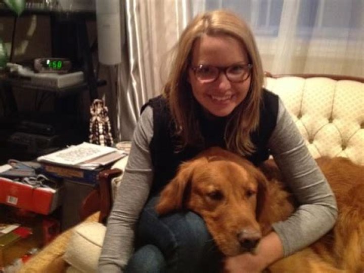 Is interfering with a service dog a felony?