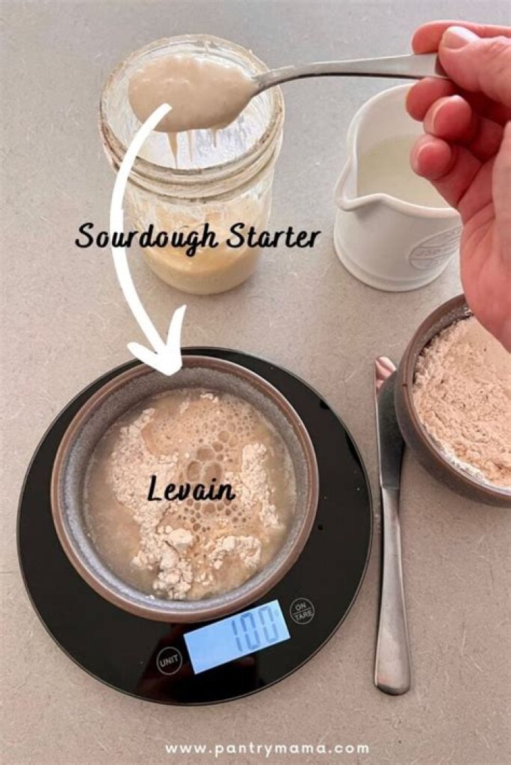 Is Levain the same as sourdough starter