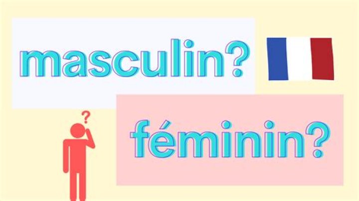 Is lit feminine or masculine French?