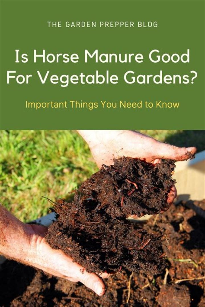 Is manure good for vegetable garden