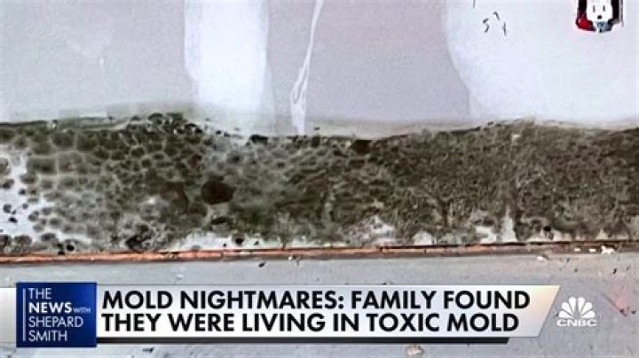 Is mold dangerous to breathe