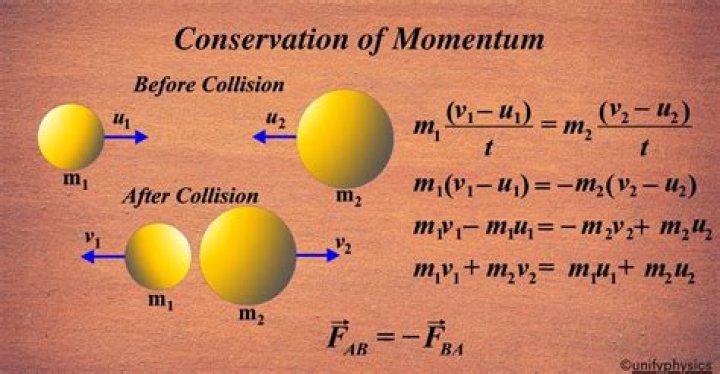Is momentum conserved in both elastic and inelastic collisions?