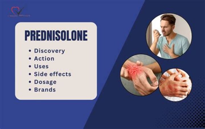 Is prednisolone used for ear infections?