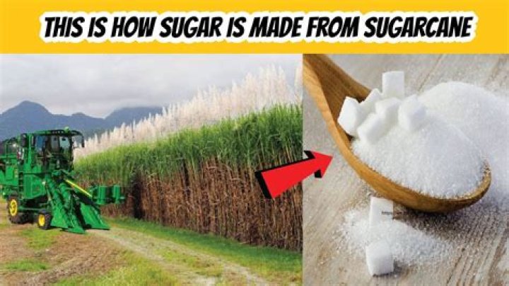 Is sugar grown in Hawaii