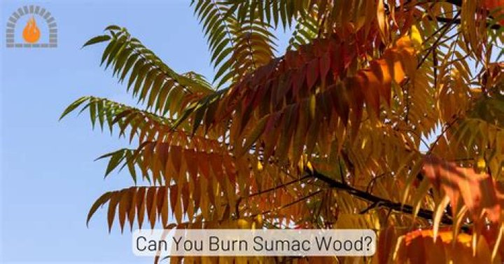 Is sumac wood good for burning
