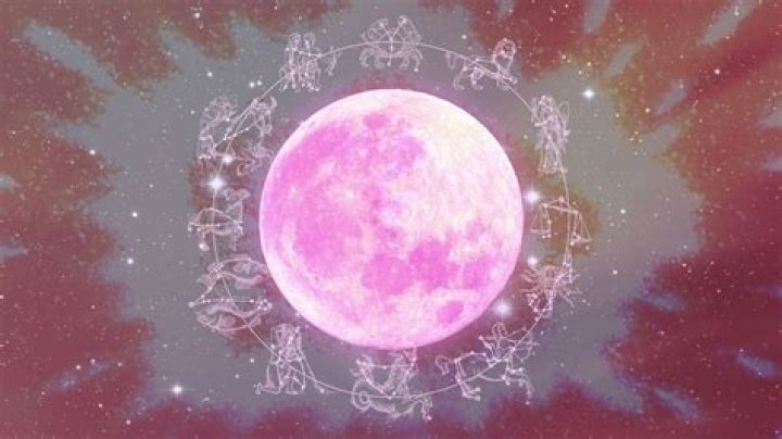 Is Summer Moon a franchise?