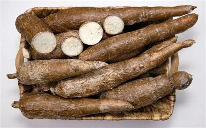 Is Tapioca a vegetable?