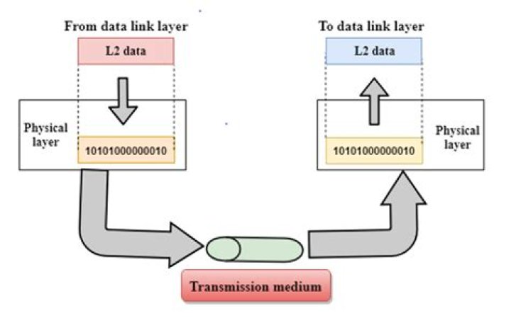 Is the transmission medium a part of the physical layer Why or why not?