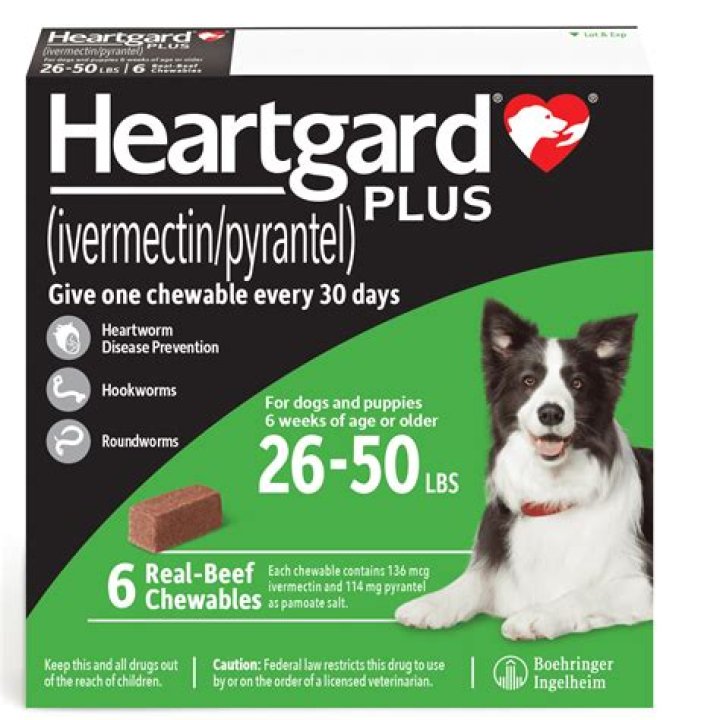 Is there a generic Heartgard for dogs