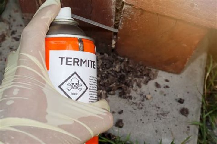 Is there a spray for termites?