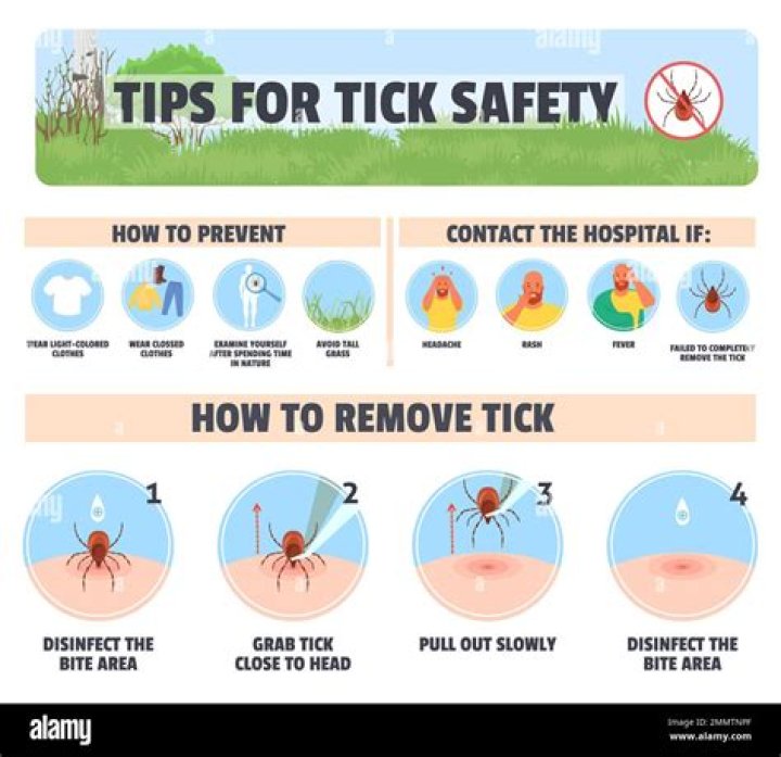 Is there a yard treatment for ticks