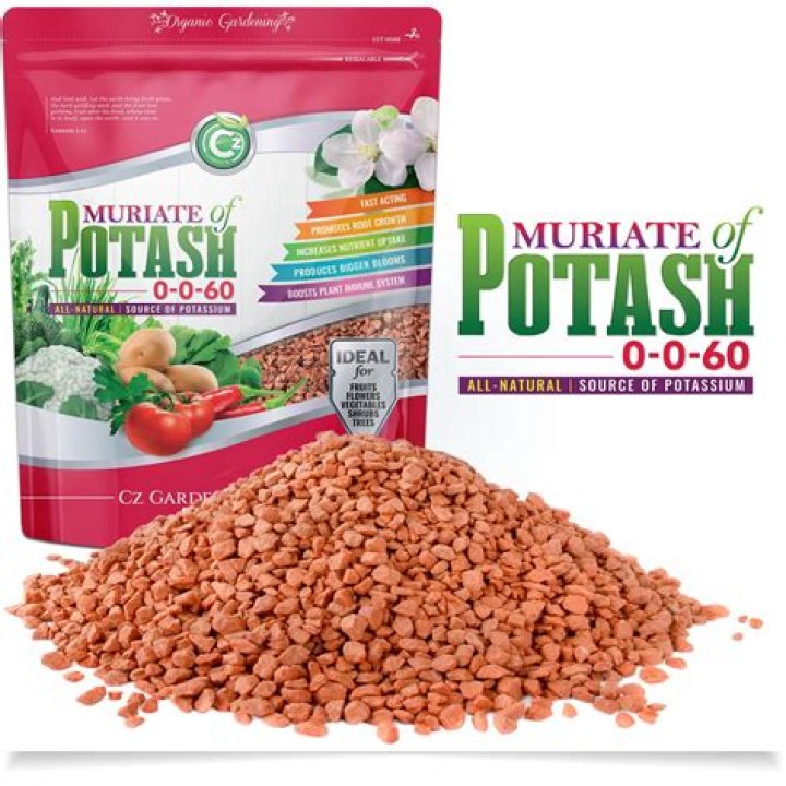 Is tomato feed high potash