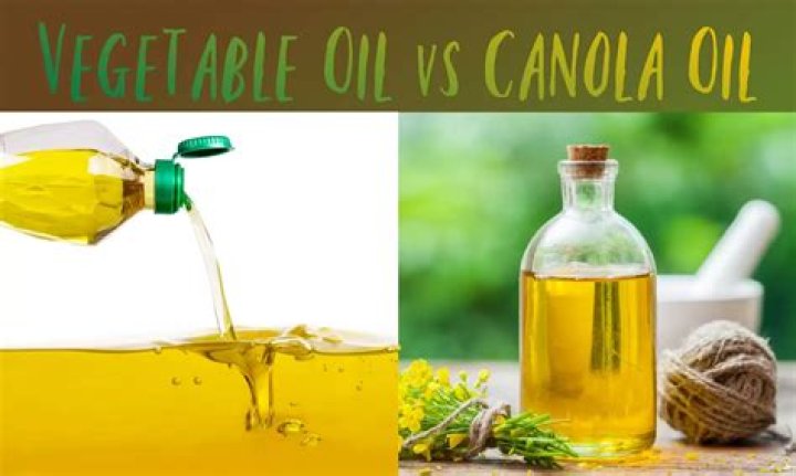 Is vegetable oil or canola oil better for you