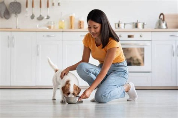 Is venison easy for dogs to digest?