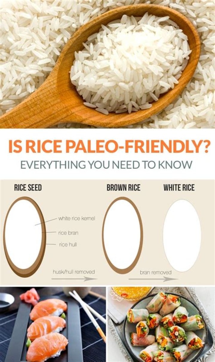 Is white rice paleo friendly