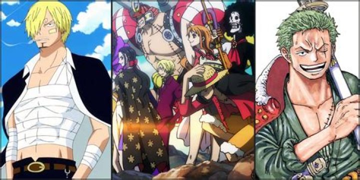 Is Zoro a vice captain?