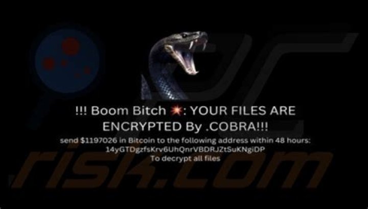 Ransom.Cobra