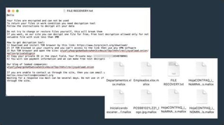 Ransom:Win32/Woreflint.A!cl