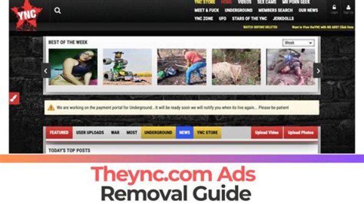 Reminews.com Ads Removal Guide — How to Fix It?