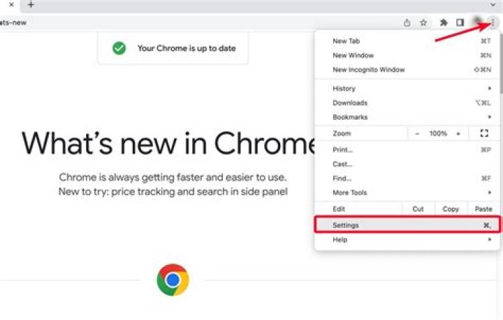 Remove Settings-chrome.com Pop-up Virus — How to Remove?