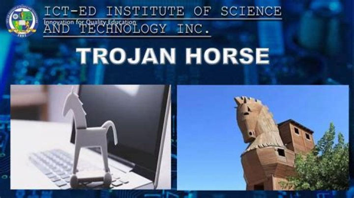 Trojan.Brsecmon.1
