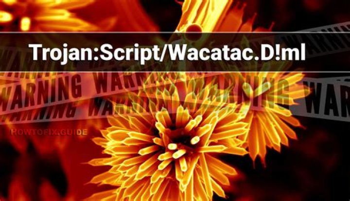 Trojan:Script/Wacatac.D!ml — Virus Removal Guide