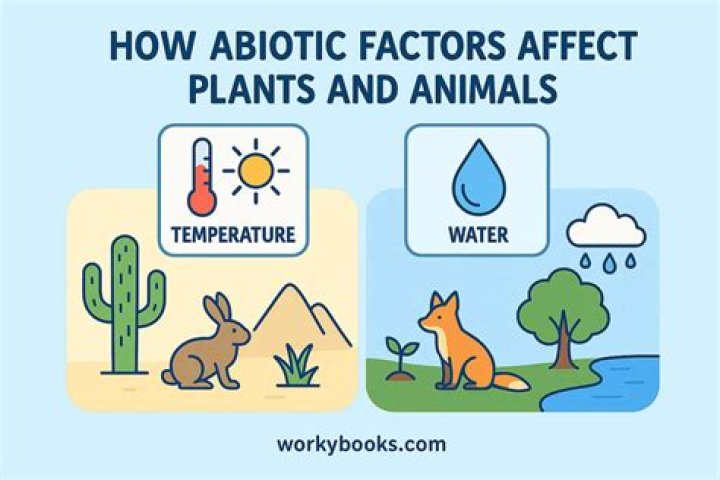 What abiotic factors determine climate?