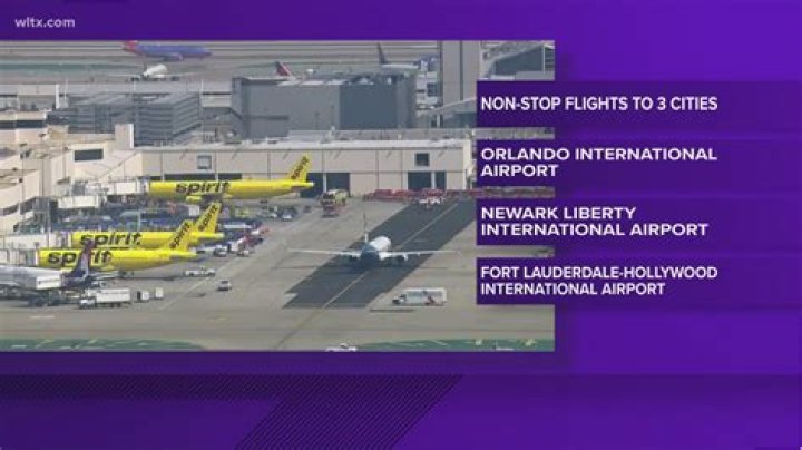 What airlines fly into Paine Field?