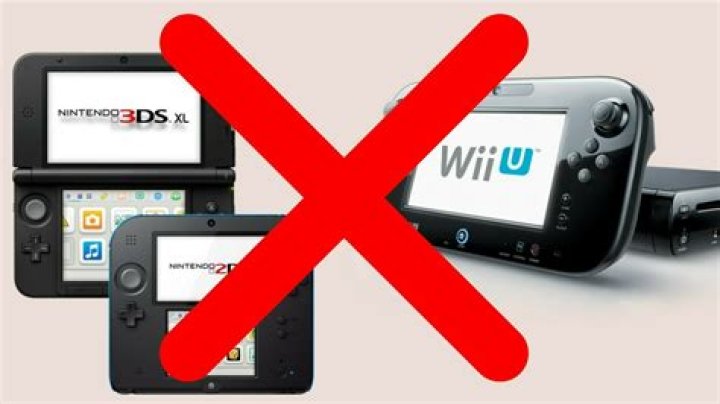 What all can the Wii do?