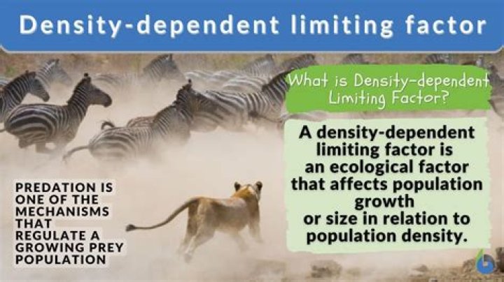 What are 4 density dependent limiting factors