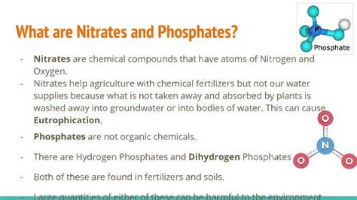 What are common sources of nitrates and phosphates