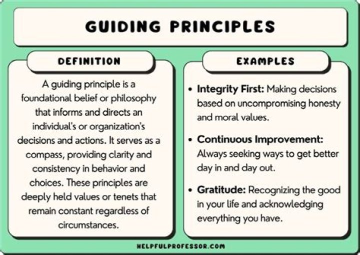 What are examples of guiding principles?