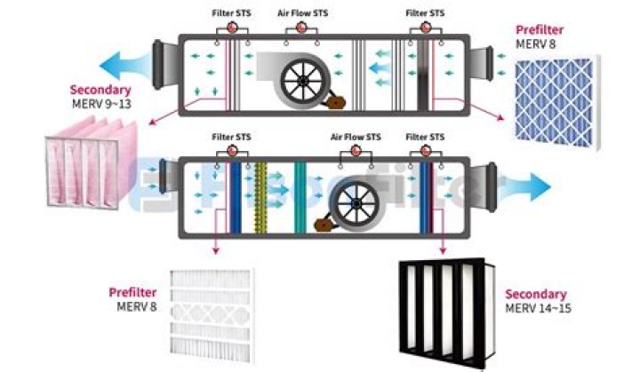 What are glands that work like filters to remove germs
