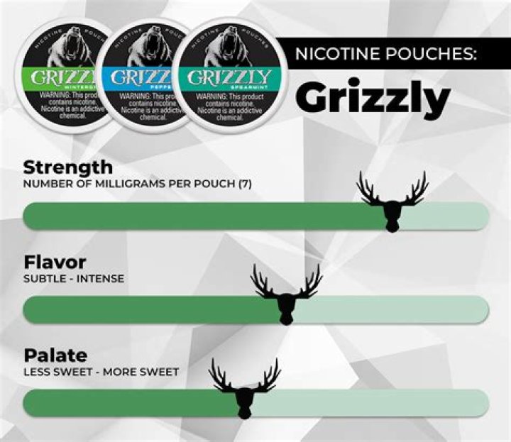 What are Grizzly pouches made out of