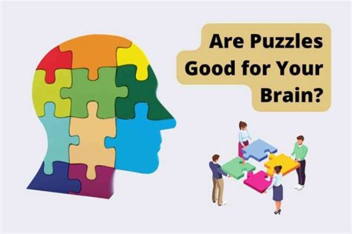 What are logic puzzles good for?