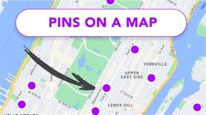 What are lot pins