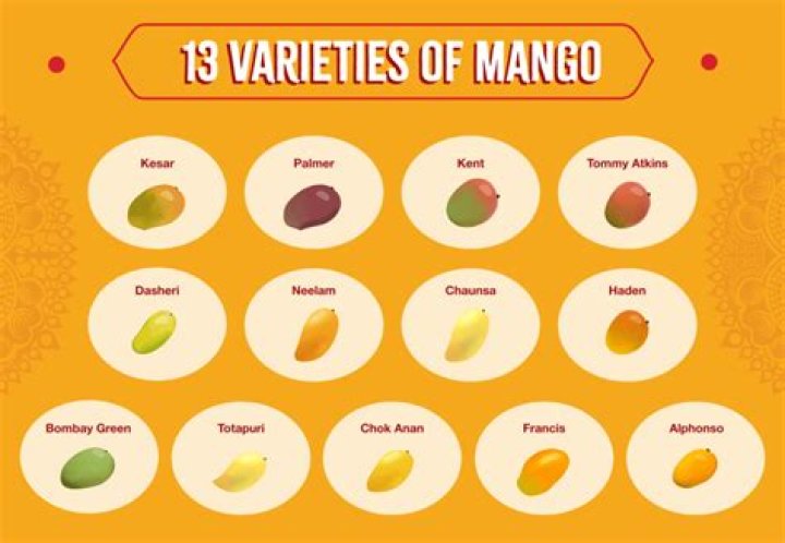 What are mangoes used for?