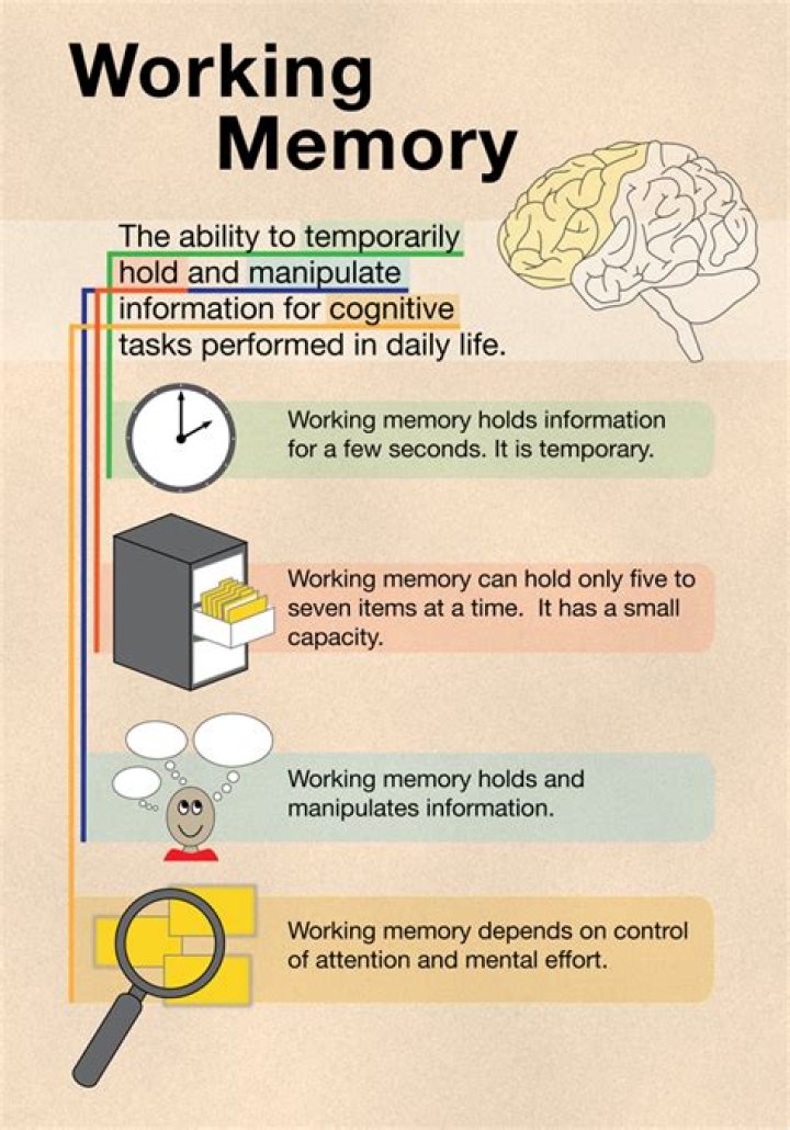 What are memory strategies psychology