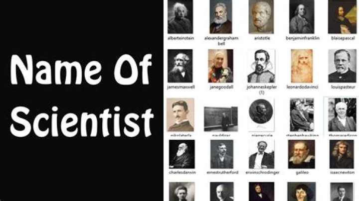 What are scientists who study trees called?