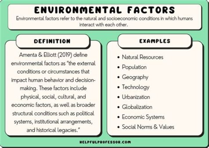 What are shared environmental factors
